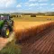 Farming Simulator 19 模拟农场 19 [DLC 解锁] [凝聚力] [DLC Unlock] [Steam & Epic] [Windows & SteamOS & macOS]