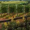 Farming Simulator 22 模拟农场 22 [DLC 解锁] [凝聚力] [DLC Unlock] [Steam & Epic] [Windows & SteamOS & macOS]