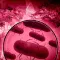 Plague Inc Evolved 瘟疫公司 物竞天择 [DLC 解锁] [凝聚力] [DLC Unlock] [Steam] [Windows & SteamOS & macOS]
