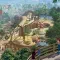 Planet Zoo 动物园之星 [DLC 解锁] [凝聚力] [DLC Unlock] [Steam] [Windows & SteamOS]