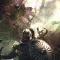 Solasta Crown of the Magister 索拉斯塔 魔法师之冠 [DLC 解锁] [凝聚力] [DLC Unlock] [Steam] [Windows & SteamOS & macOS]