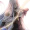 The Legend of Heroes Hajimari no Kiseki 英雄传说 创之轨迹 [DLC 解锁] [凝聚力] [DLC Unlock] [Steam & Epic] [Windows & SteamOS]